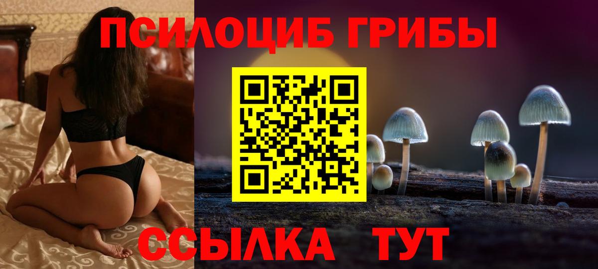 хочу   Вход с VPN  Каменск-Шахтинский  Галлюциногенные грибы Psilocybe 