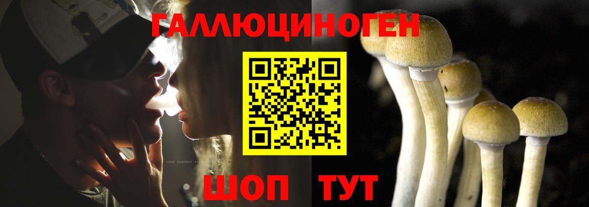 Галлюциногенные грибы мицелий Каменск-Шахтинский